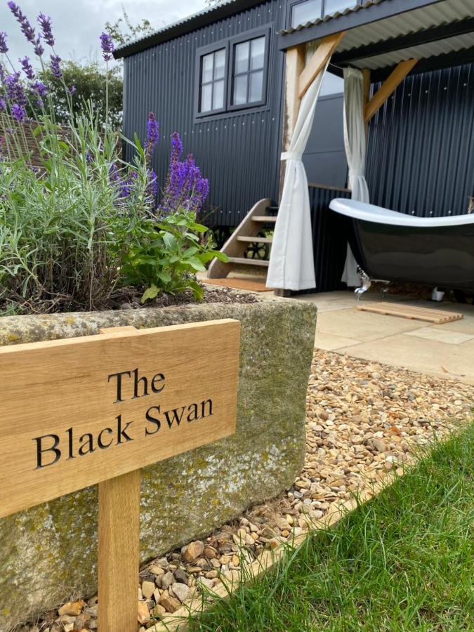 The Black Swan Shepherd Hut Ketton Kültér fotó